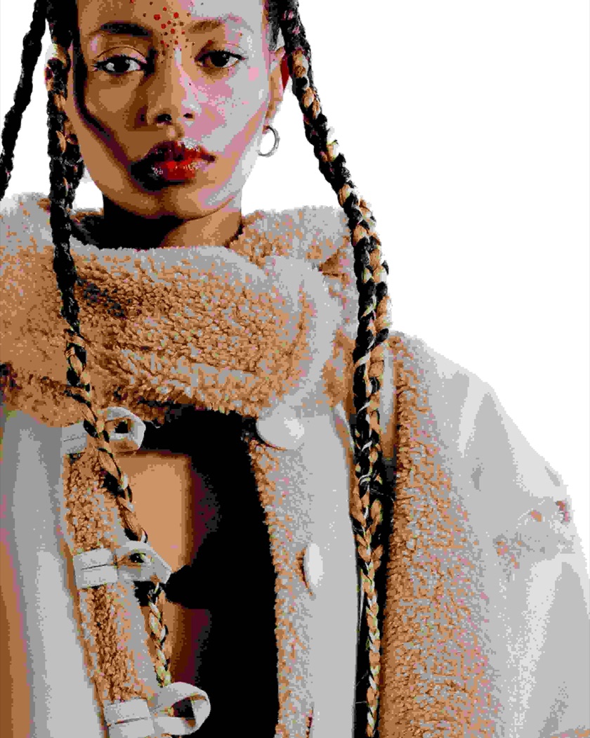 Echoes from the Steppe, collection