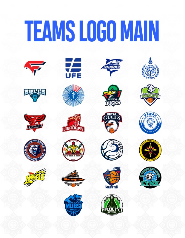 Team logo system